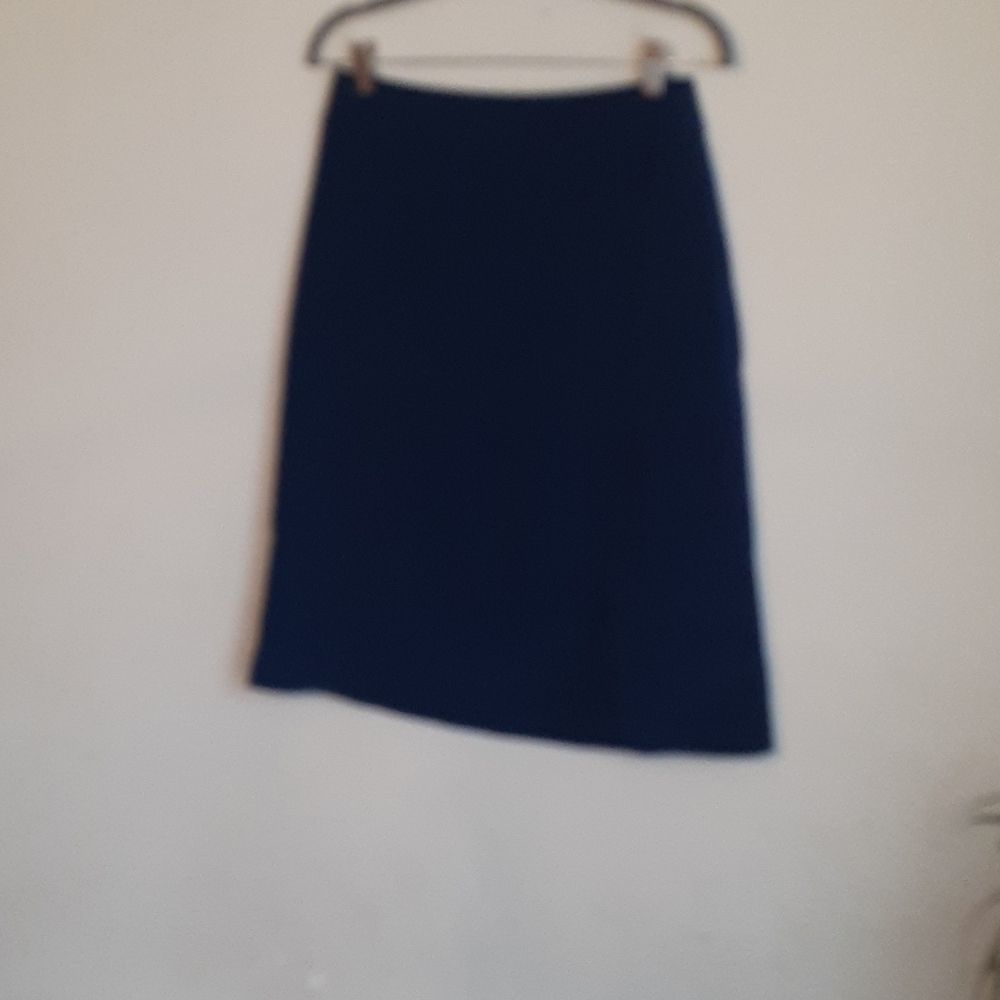 NWT PARIS SUNDAY blue skirt M